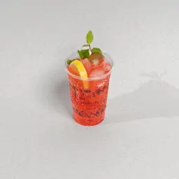 Pomegranate Mojito